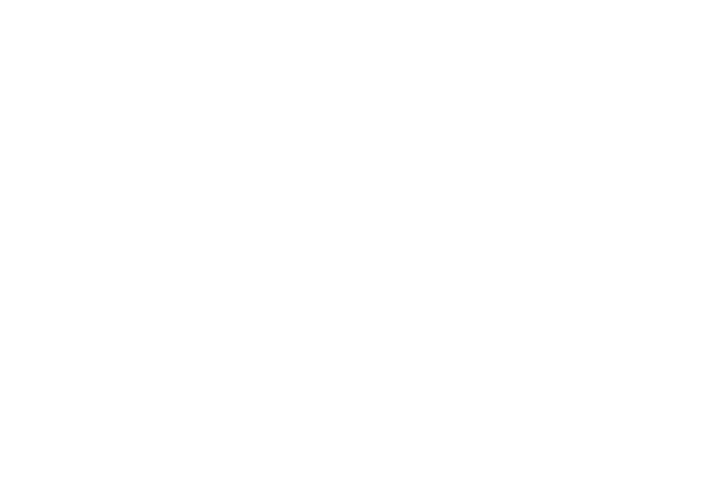 Website logo2.
